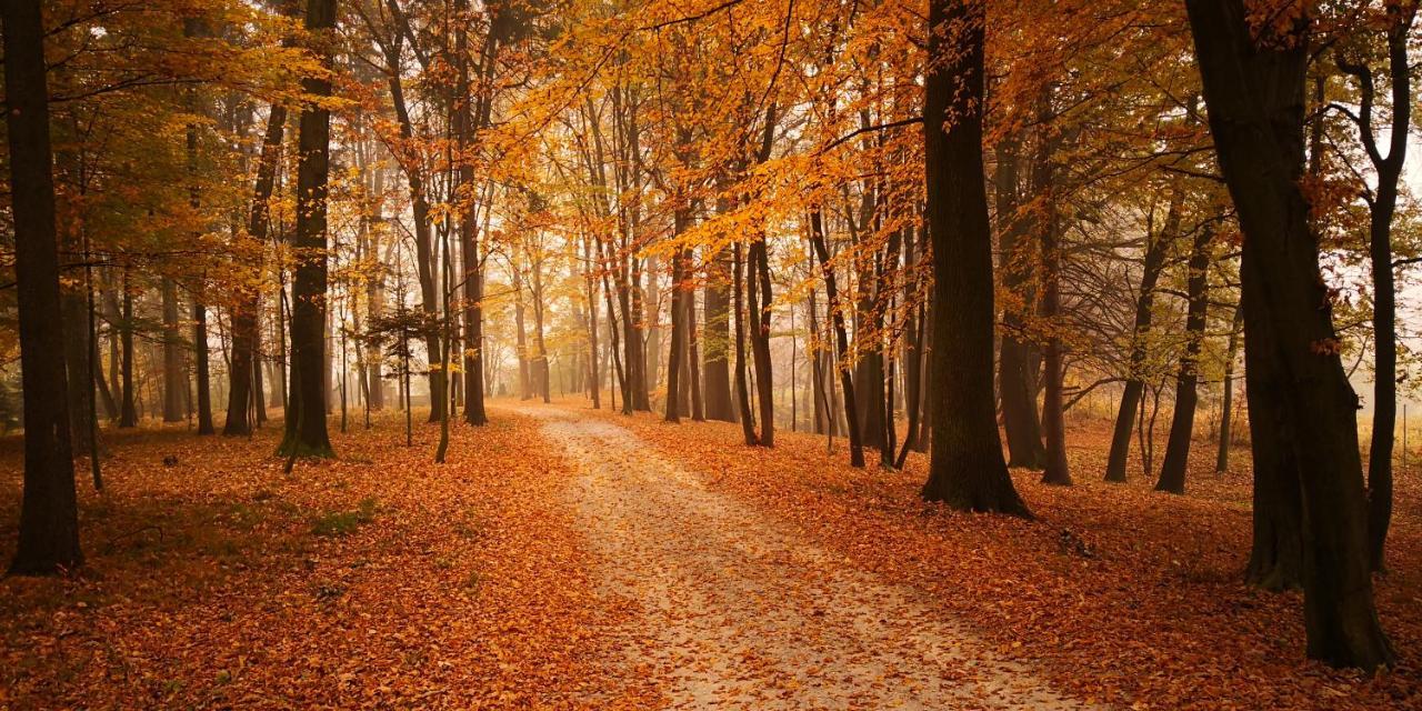 Отель Dwor Sierakow Экстерьер фото